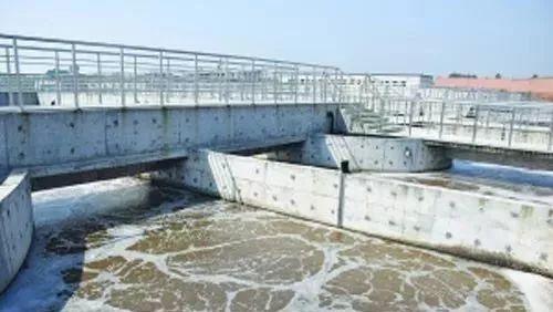 1663642980533038.jpg df0082ccc6c544d996eb01063bd8b27e~noop.jpg